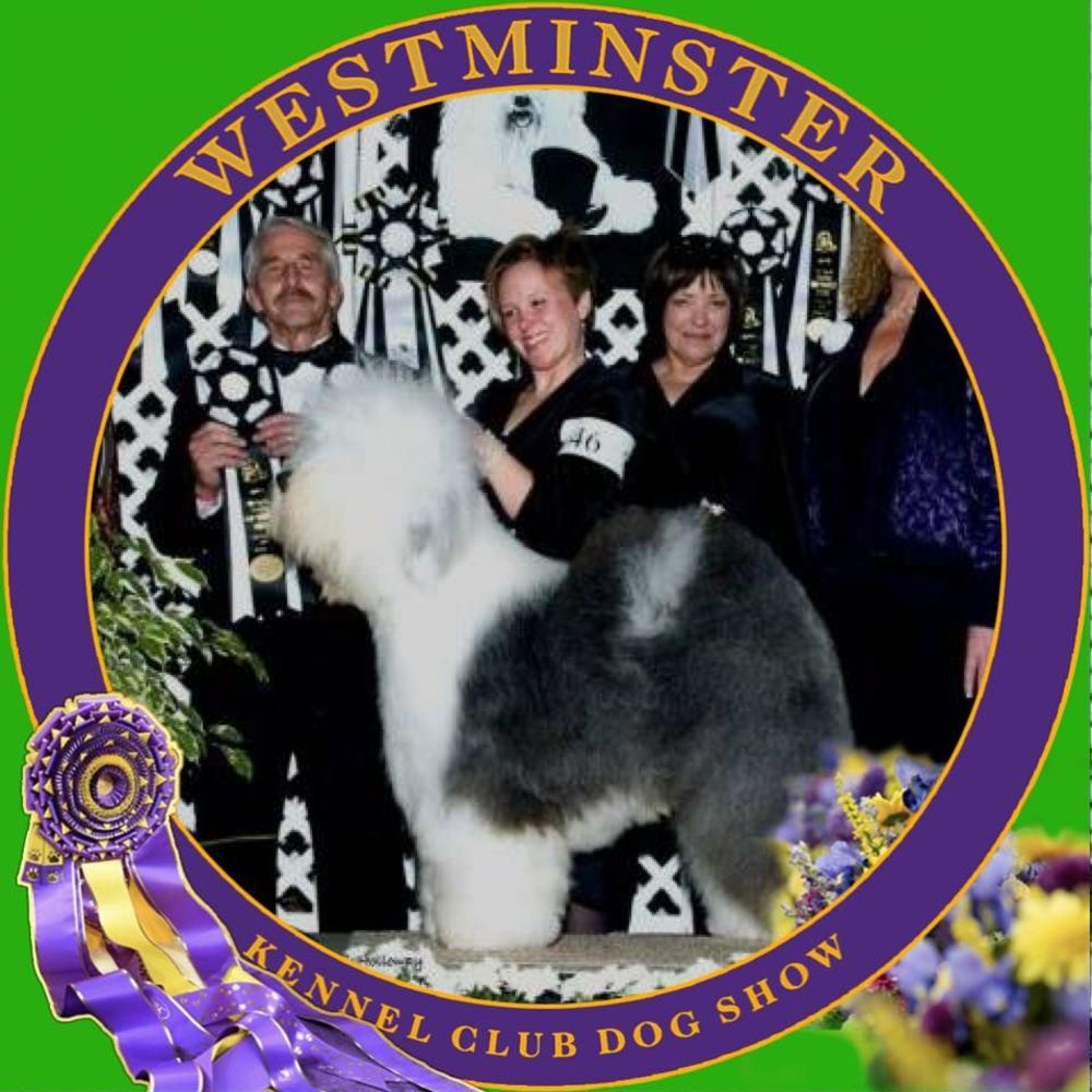 Meet your Posher, Sunny